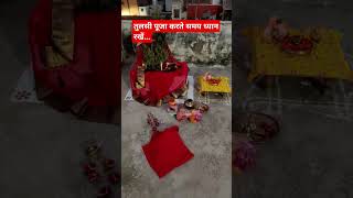 Tulsi Vivah kaise kare  Tulsi Vivah vidhi tulsi pujan kartikmaas pooja Anagh official [upl. by Rinum]