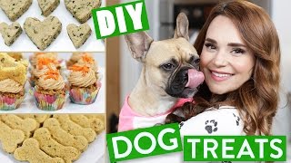 DIY DOG TREATS [upl. by Aeresed916]