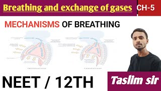 mechanisms of breathing  breathing and exchange of gases class 12th [upl. by Wasserman]