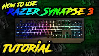 Razer Synapse 3 Tutorial  Studio  Razer Keyboard Lighting [upl. by Gyatt]