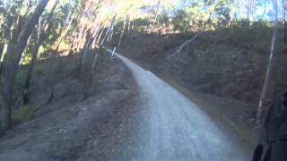 DAguilar National Park Mt Mee quotRange Road Forest Drivequot Brisbane QLD Australia [upl. by Chesna]