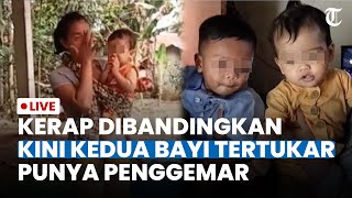 🔴LIVE UPDATE KERAP DIBANDINGKAN 2 Bayi Tertukar di Bogor Kini Punya Banyak Penggemar [upl. by Conti]