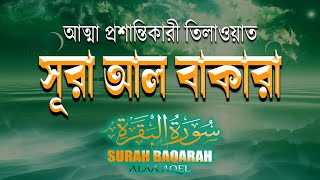 মানসিক শান্তির জন্য সূরা আলবাকারা শুনুন। Surah Al Baqarah l Very Nice Recitation। By Alaa Aqel [upl. by Bazluke]