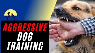 Most Complete Aggressive Dog Training Tutorial using Positive Reinforcement [upl. by Aikemot]