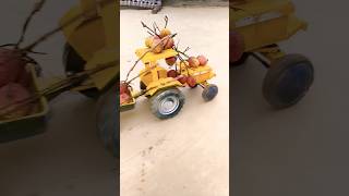 litchi ka guchha tractor 🚜 pe automobile tractor [upl. by Francyne]