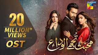 Mohabbat Tujhe Alvida  Full OST  HUM TV  Drama [upl. by Atekal]