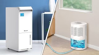 Save Thousands on Repairs The Best Dehumidifier to Protect Your Home [upl. by Borrell]