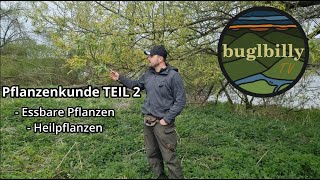 Survival Essentials Teil 2  Pflanzenkentnisse für Abenteurer  essbare Pflanzen [upl. by Kendell47]