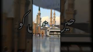 madina naat sharifislamicstatus youtubeshorts video [upl. by Swamy]