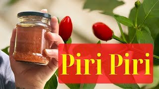 Portuguese Piri Piri  Peri Peri Hot Sauce Recipe [upl. by Akirej479]