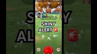 Shiny Trapinch During Aspiring Dragon Research Day 🔥 pokemongo shundo shinypokemon pokemon [upl. by Leffen]