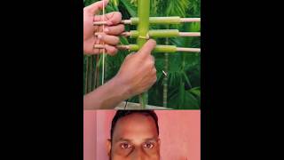 India bamboo shorts viral movies song [upl. by Kaela23]