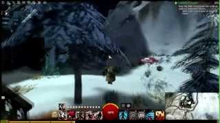 Skradden Slopes Vista  Guild Wars 2 [upl. by Juta912]