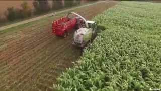 Réalisation Films Vidéo produit  Récolte Sorgho ensilage BMR de Semental [upl. by Shipp]