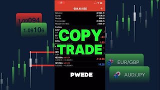 How to Copy Trade Bibiano Forex [upl. by Ihcas]