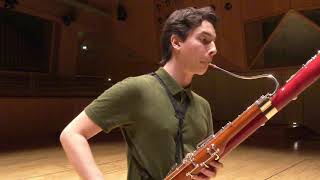 Paganini Caprice No 5  Theo Plath bassoon [upl. by Cirded]