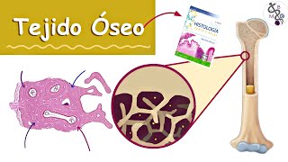 Tejido Óseo Hueso  Histología Ross  Medicina [upl. by Porche909]