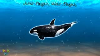 Sea Animal Finger Family Nursery Rhyme  Whale Orca Killer Whale dolphin Fish octopus Daddy Finger [upl. by Nandor]