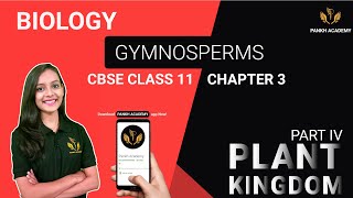 Gymnosperms Class 11 Biology Chapter 3  Plant Kingdom  Pankh Academy Part 4 [upl. by Suaeddaht]