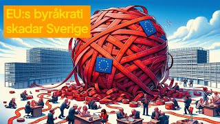 EUs byråkrati skadar Sverige [upl. by Izaak]