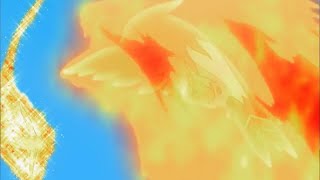 Pokemon Talonflame vs Unfezant [upl. by Airet]