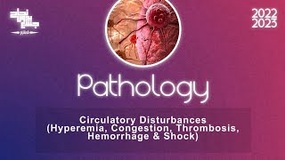 Ch5 part3 Circulatory disturbances HyperemiaCongestion Thrombosis HemorrhageShock Pathology [upl. by Norred]