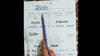 Stipules and its types englishfunction of stipules difference between stipulate and exstipulate [upl. by Phillis801]