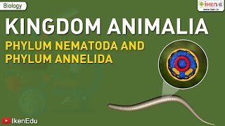 Kingdom Animalia Phylum Nematoda and Phylum Annelida  Biology  iKen  iKen Edu  iKen App [upl. by Sissy41]