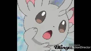 Minccino amv oh no😍 [upl. by Kip341]