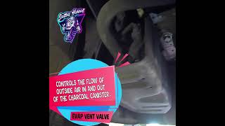 Nissan Rogue Vapor Canister Vent Valve Location and Info p0440 p0441 p0442 [upl. by Pelagias]