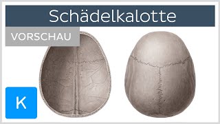 Schädeldach Knochen Suturen Foramina Vorschau  Anatomie des Menschen  Kenhub [upl. by Nylicaj]