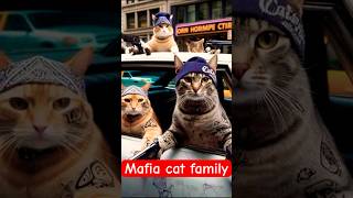 Cat the Mafia catshortscat catlover mafia ytshorts [upl. by Lindsey]