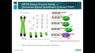 The Power of Partitioning The World of Droplet Digital™ PCR Applications [upl. by Htaeh]