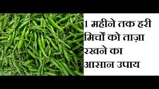 1 महीने तक हरी मिर्चों को रखे ताज़ा  How to Preserve Green Chilies [upl. by Lolita]