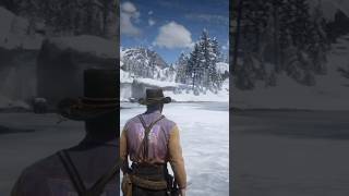 The greatest feature in red dead redemption 2 [upl. by Akinirt855]