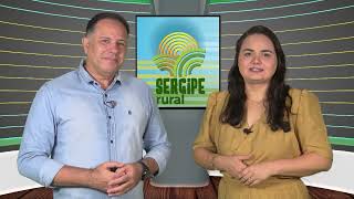 SERGIPE RURAL  PROGRAMA 469 [upl. by Furr436]