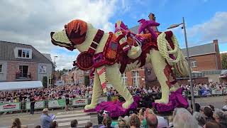 Bloemencorso Loenhout 2024 [upl. by Dranyl]