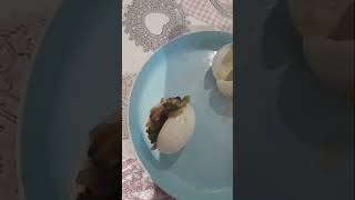 viral eggviralshort shrotsfeed cooking viralshort [upl. by Tuesday]