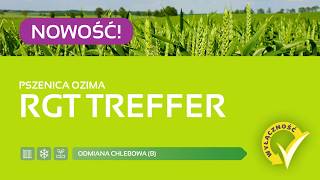 Pszenica ozima  RGT TREFFR [upl. by Jammin]