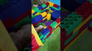 Wiggles Waggles and Waffles have a Dog Obstacle Course Race FamilyFun FunnyDogs ObstacleCourse [upl. by Nyrok]