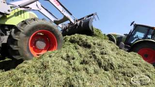 Réalisation Films Vidéo Agriculture ensilage RayGrass Italien ensileuse CLAAS Jaguar 940 [upl. by Getter]