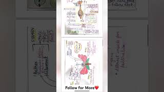 Reproduction in flowering plants notes biologynotes science shorts viral video trending l [upl. by Noiz]