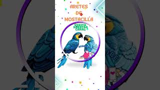 Aprende a hacer aretes de mostacilla de guacamayo [upl. by Octavus]