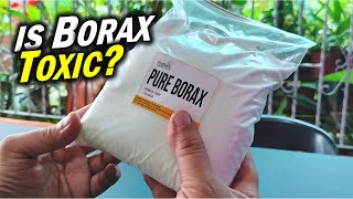 The Shocking Truth About BORAX Is It TOXIC or SAFE sodium tetraborate [upl. by Jordon]