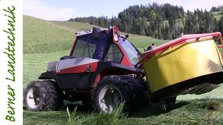 Mähen extrem  Hillside Mowing [upl. by Godber]