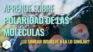 ¿Qué es la POLARIDAD ¿Cómo sabemos si una MOLÉCULA es POLAR [upl. by Eniladam]