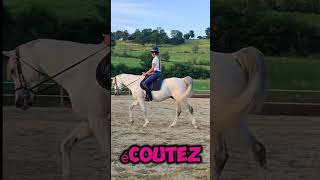 quotIL FAUT ÊTRE MEILLEUR QUHIERquot Qui a vu le documentaire dinox  🤩 cheval kaizen poney [upl. by Yerffej]