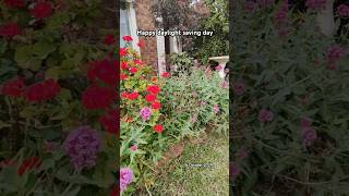 Daylight saving in Spring australia time dailyshorts fypyoutube [upl. by Anatlus]