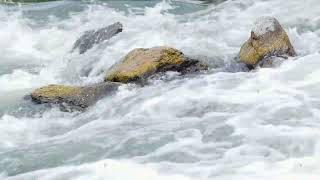 Cascade of the mountain river Water flowing through rock in river during hike of the valley of [upl. by Gilroy]