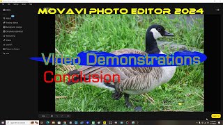 Movavi Photo Editor 2024 Video Demonstrations Conclusion [upl. by Olaf]